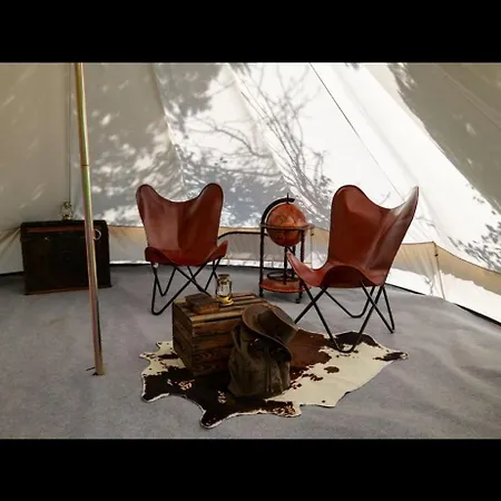 Les Petites Bulles De Massier *