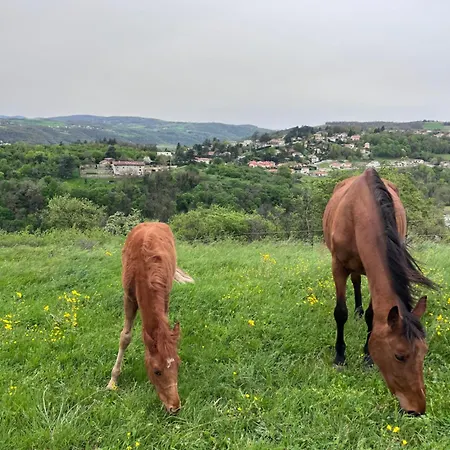 Les Petites Bulles De Massier * Vienne (Isere)
